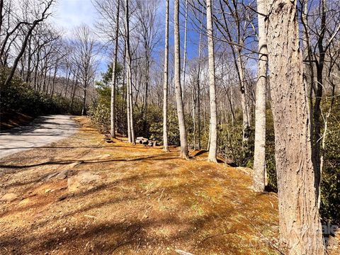 Photo of 212 Harmony Lane #1142, Montreat, NC 28757 (MLS # 4347387)