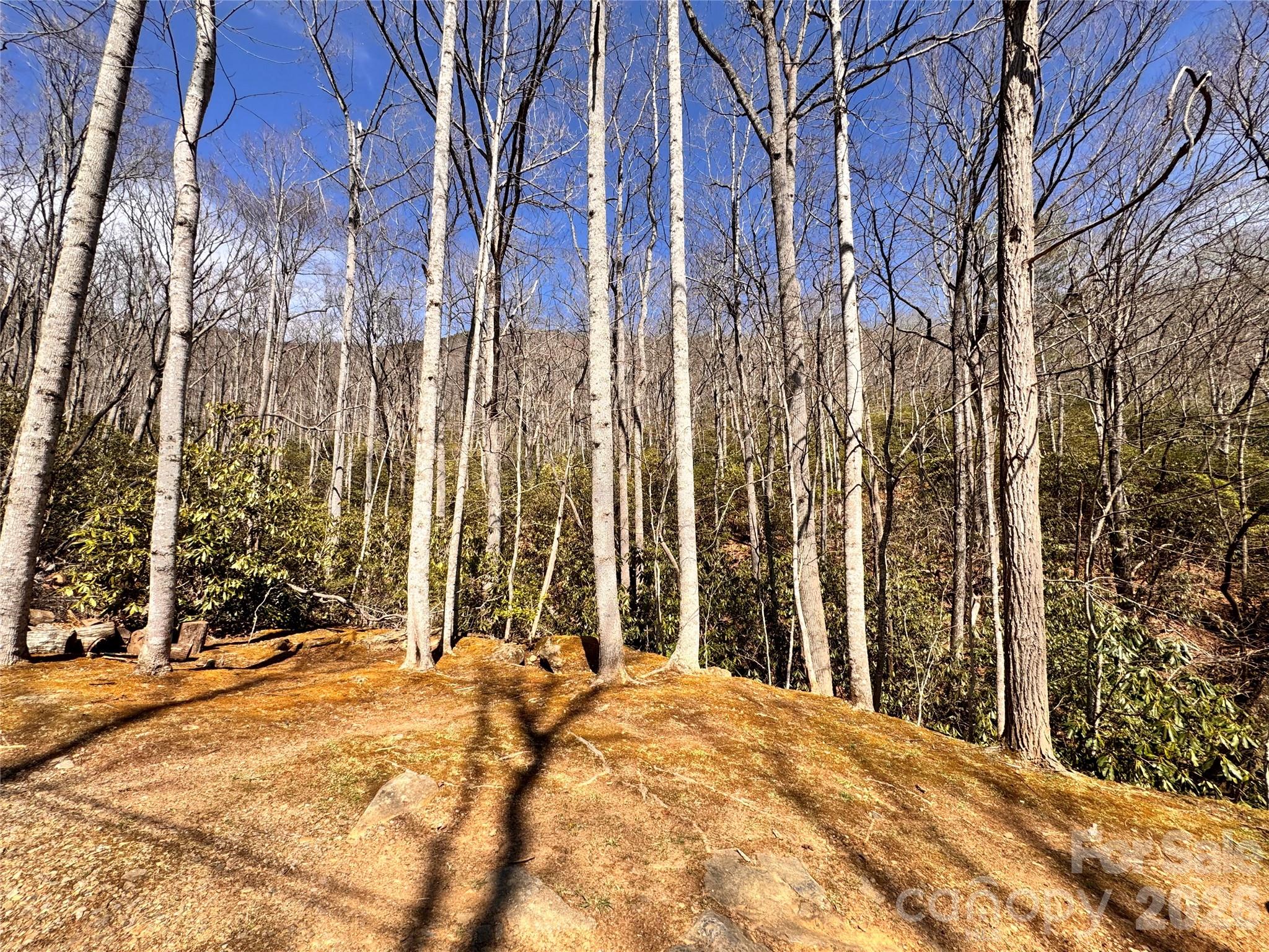 212 Harmony Lane 1142