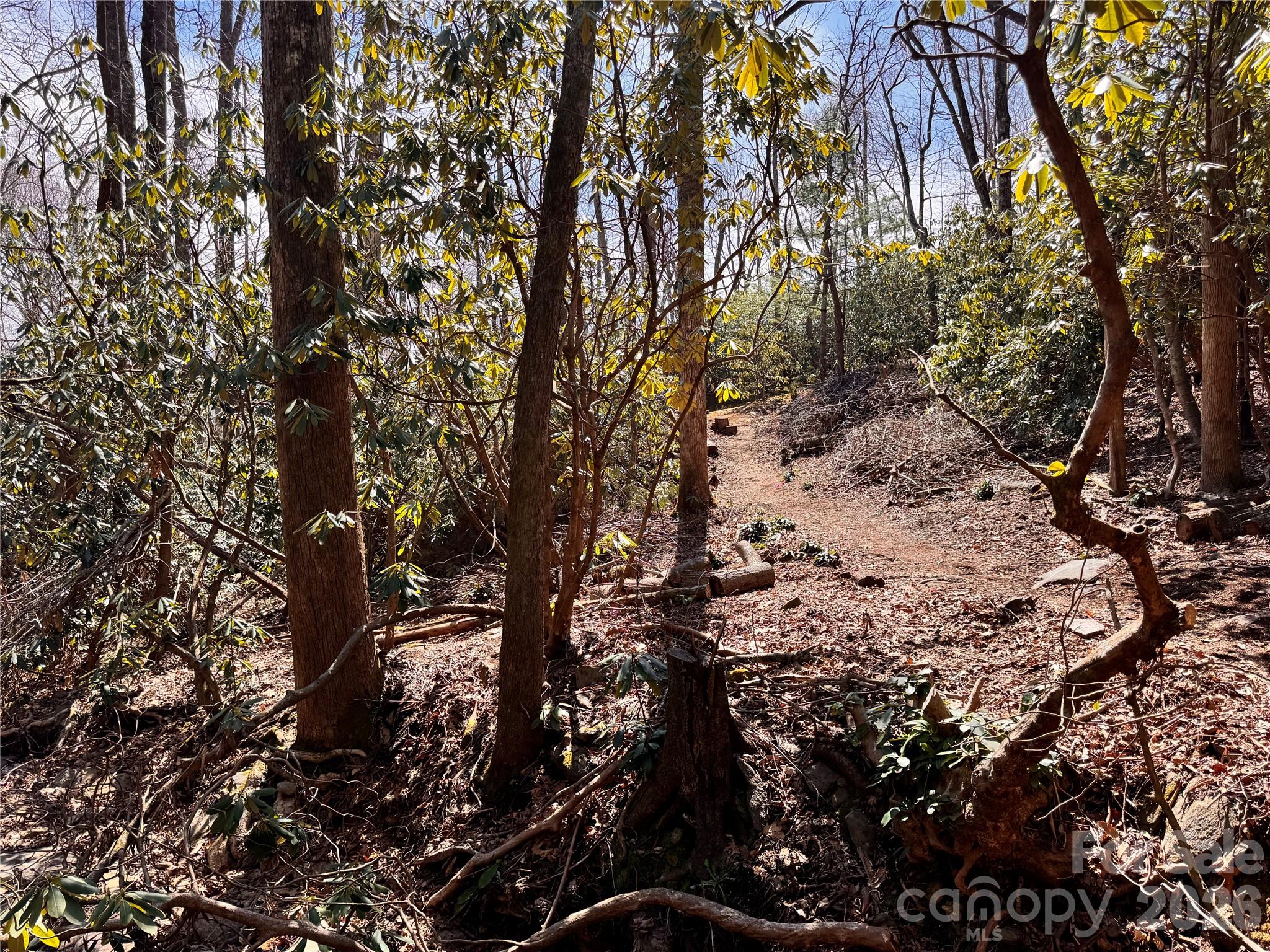 212 Harmony Lane 1142