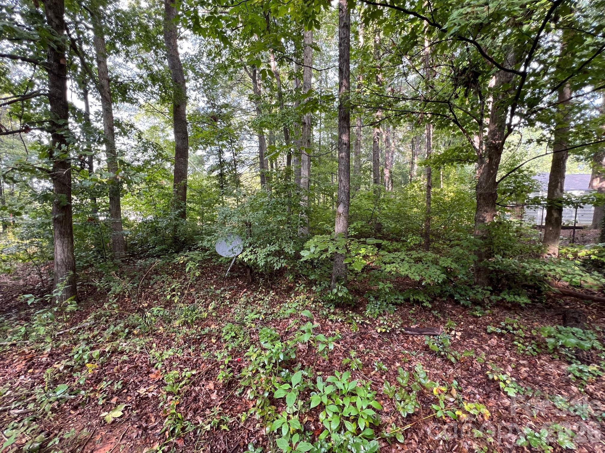 0 Hayes Waters Road 2