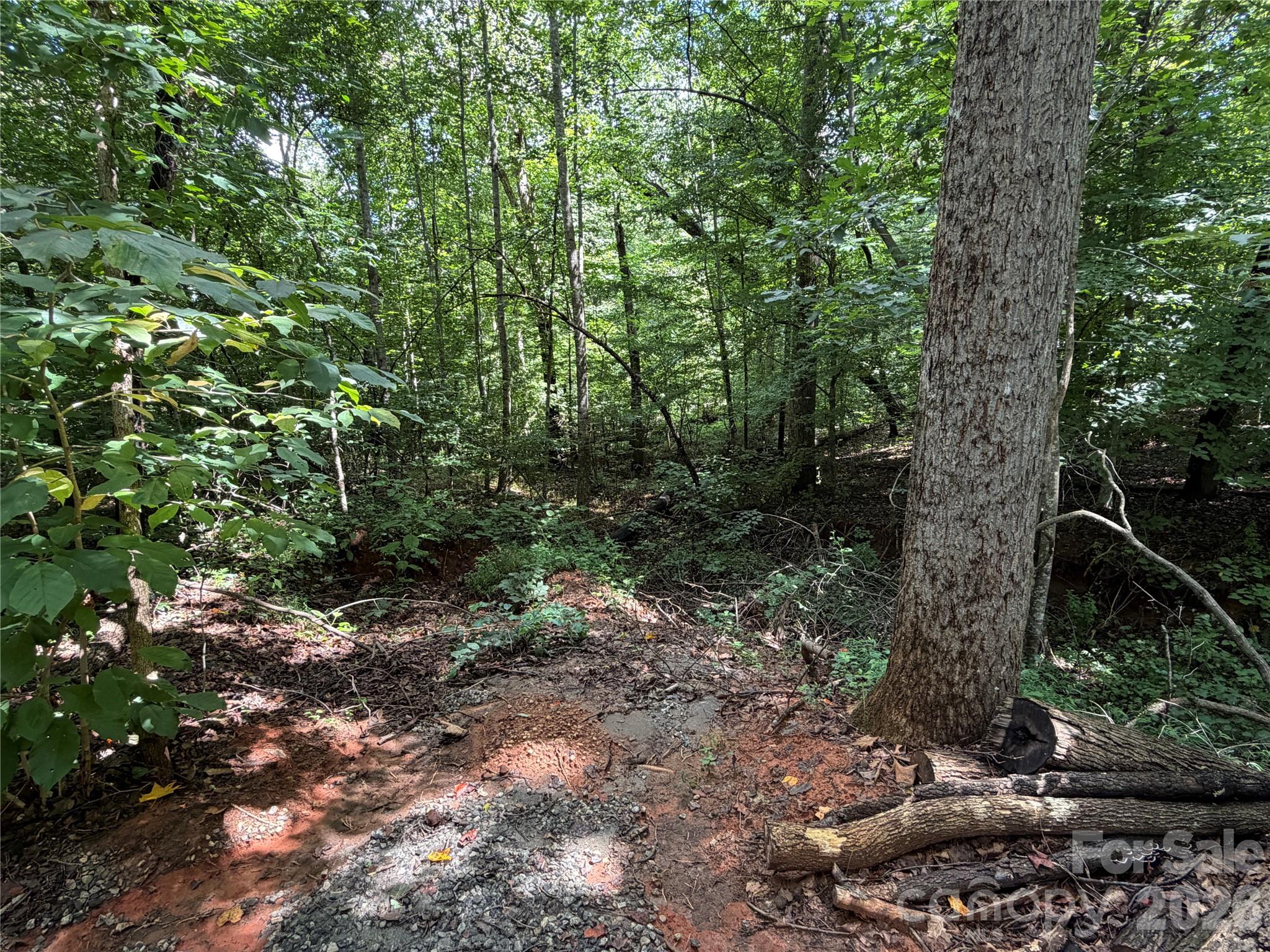 0 Beechtree Circle