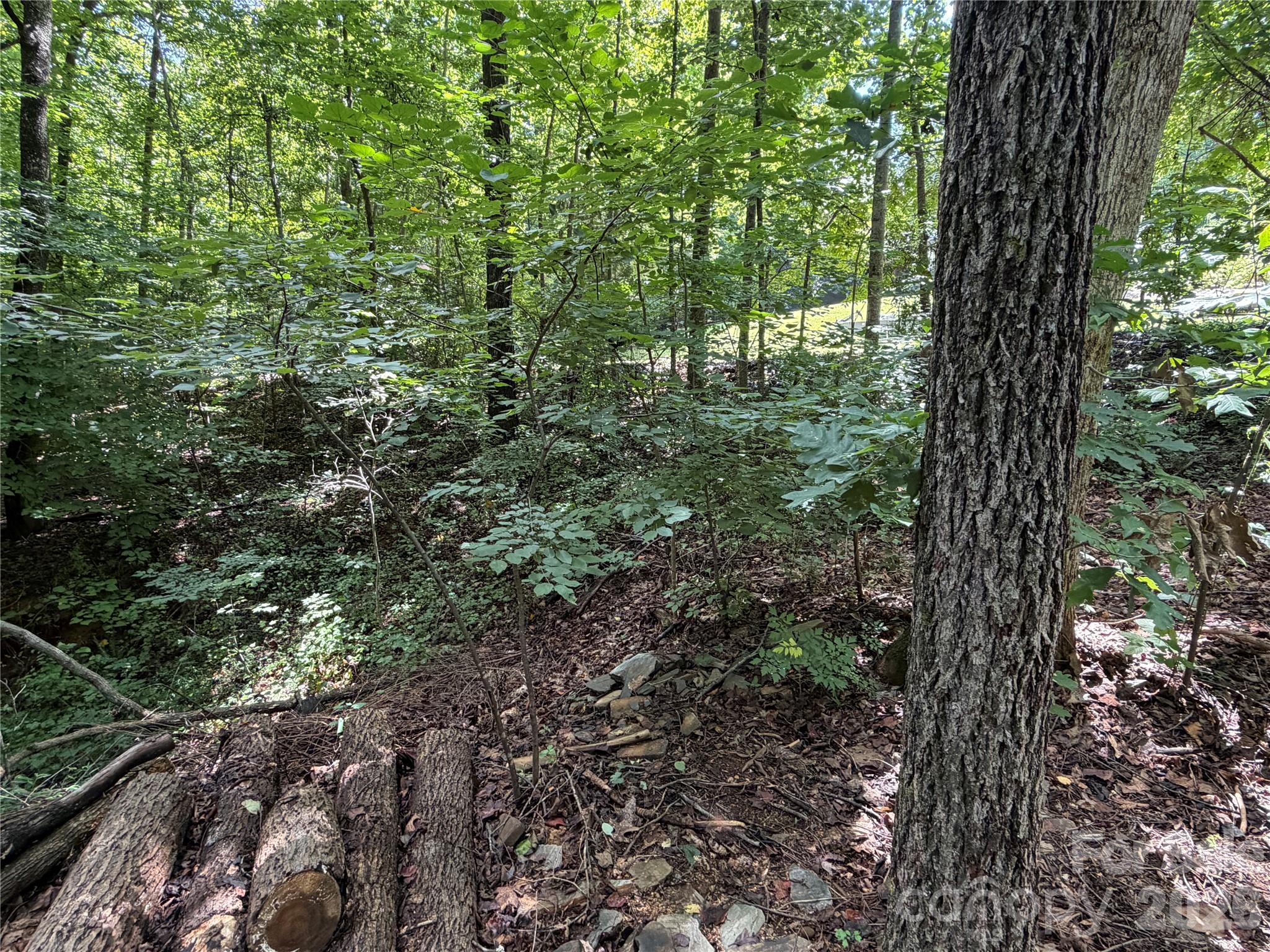 0 Beechtree Circle