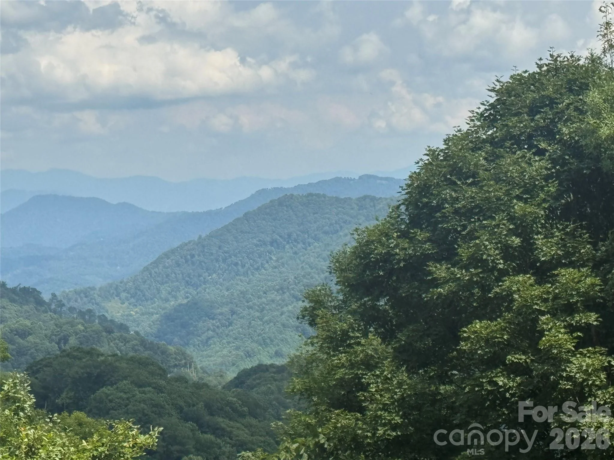 84 Goldenleaf Road, Mars Hill, NC, 28754