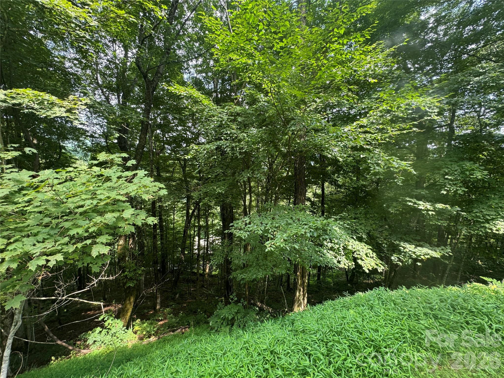 84 Goldenleaf Road