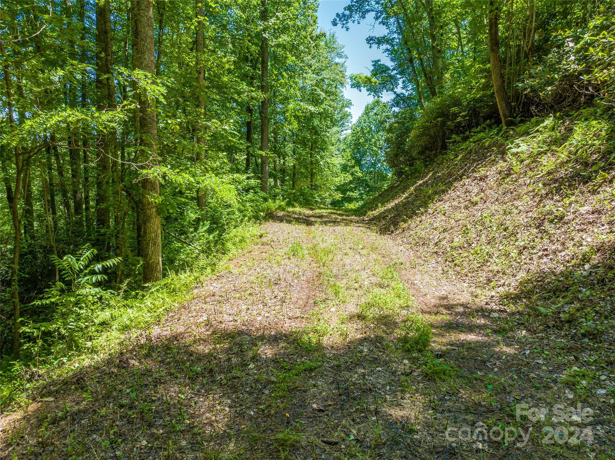 The Cliffs at Walnut Cove - Land