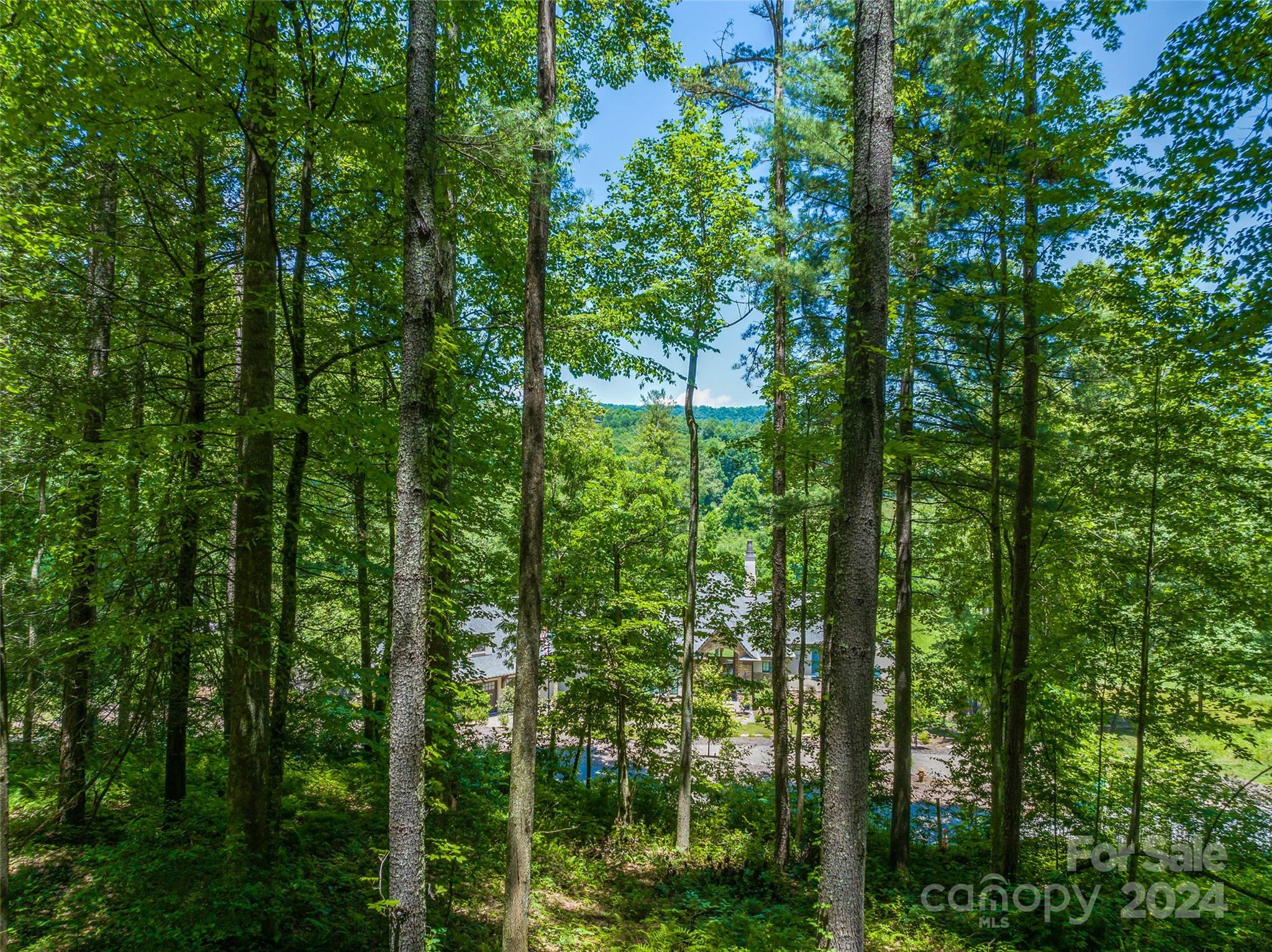 The Cliffs at Walnut Cove - Land