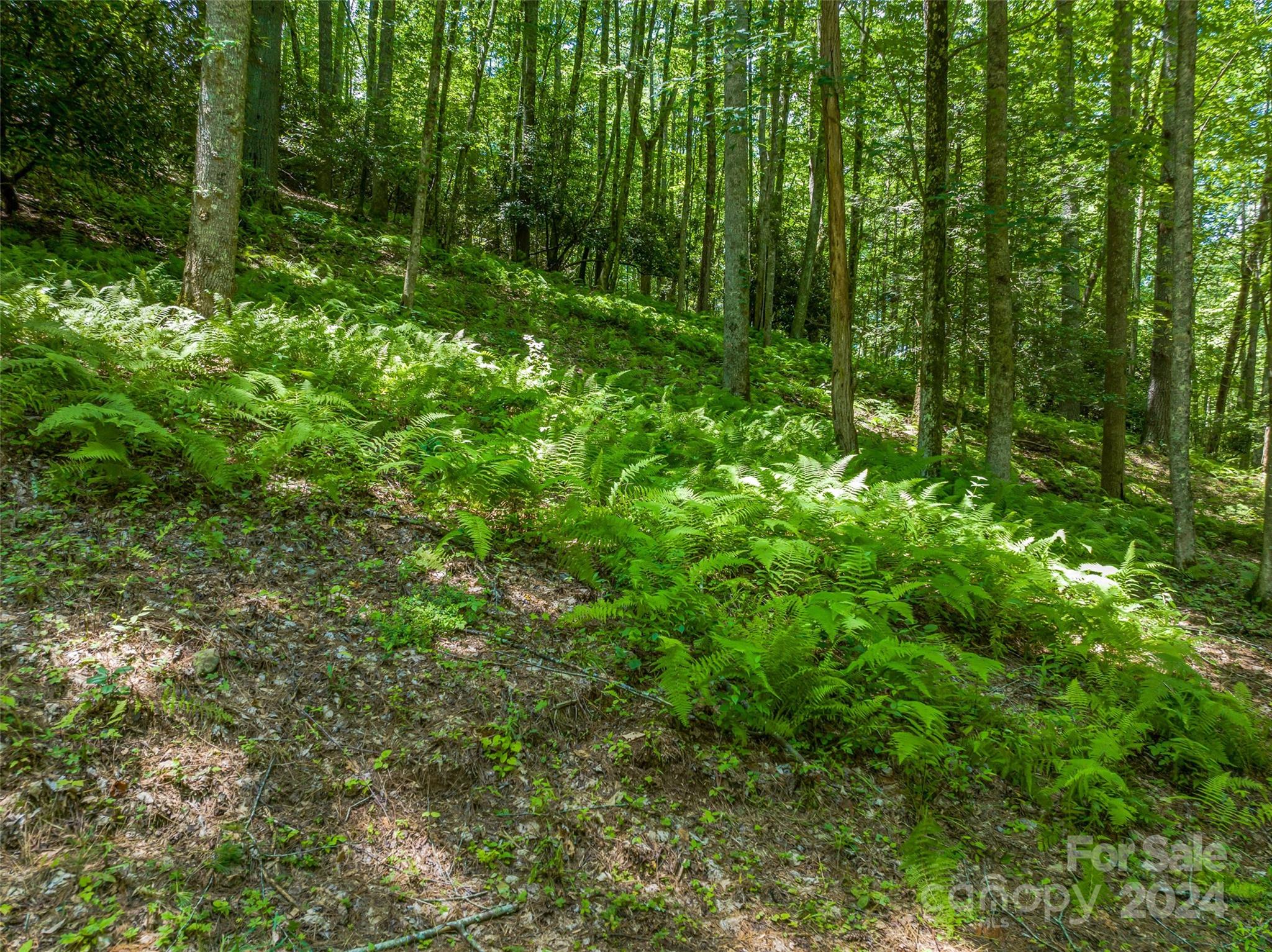 The Cliffs at Walnut Cove - Land