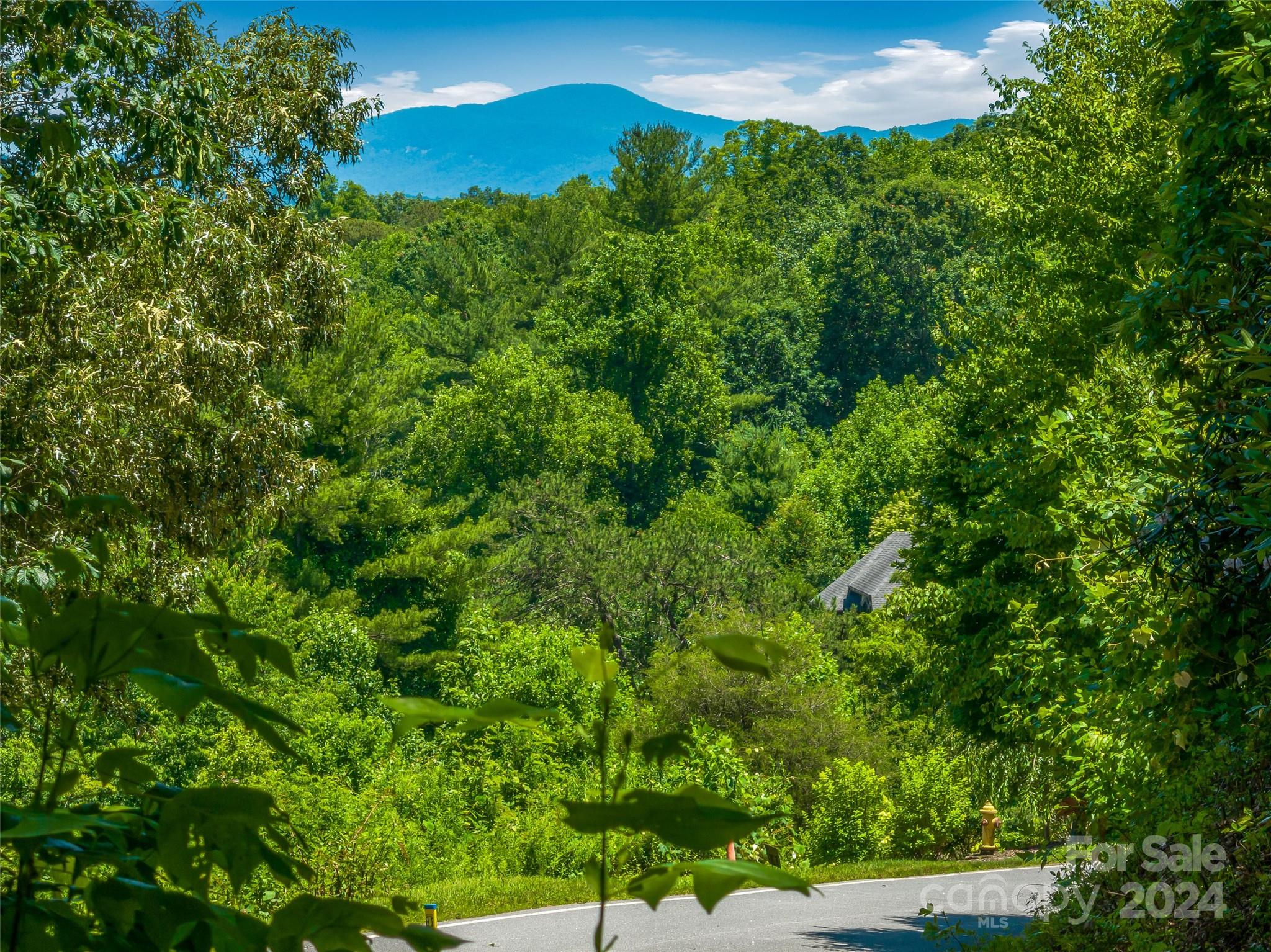 The Cliffs at Walnut Cove - Land