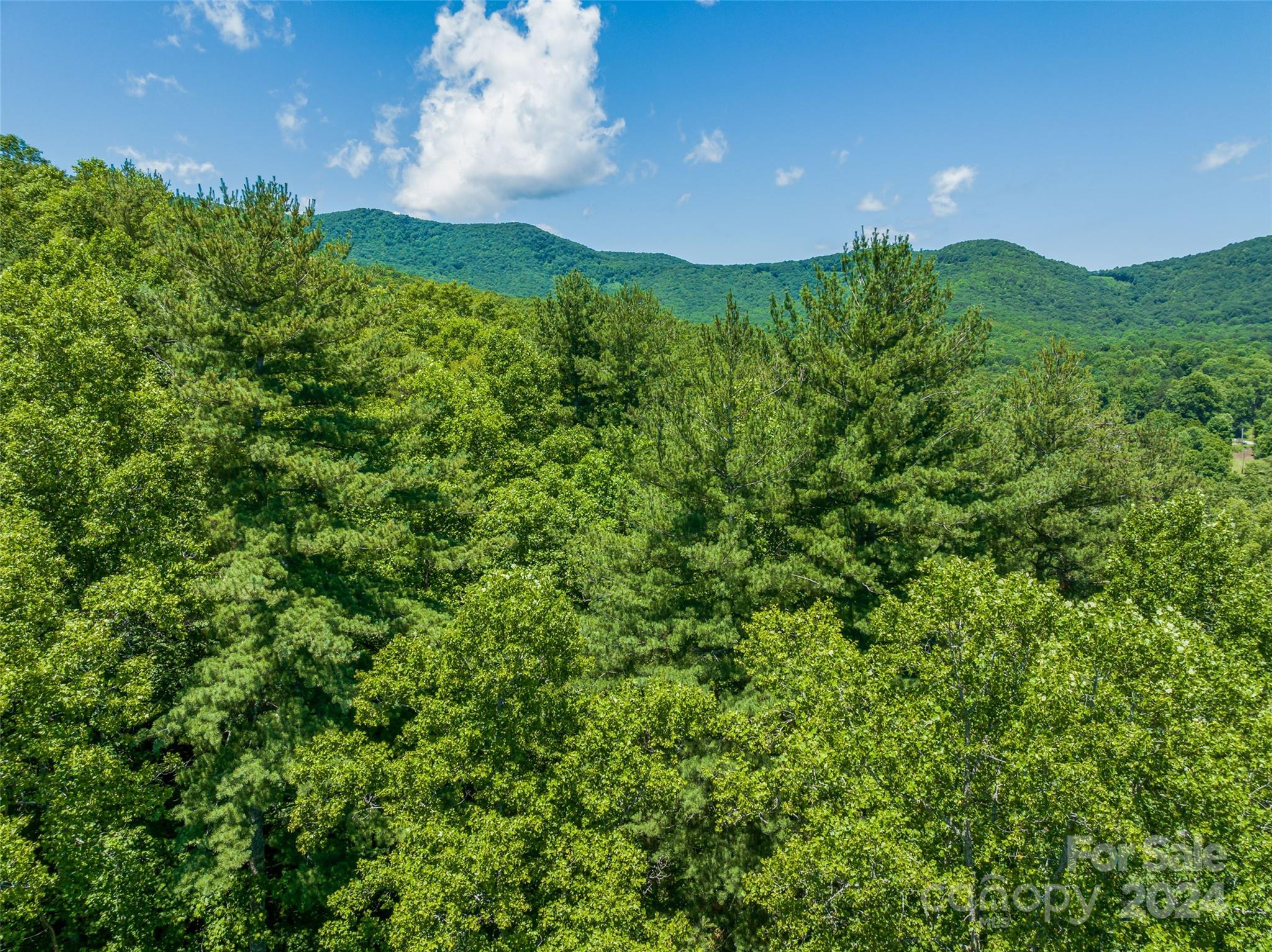 The Cliffs at Walnut Cove - Land