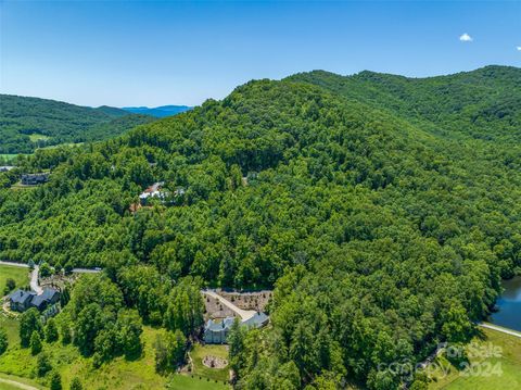 40 Bear Flower Trail 38 Arden NC 28704