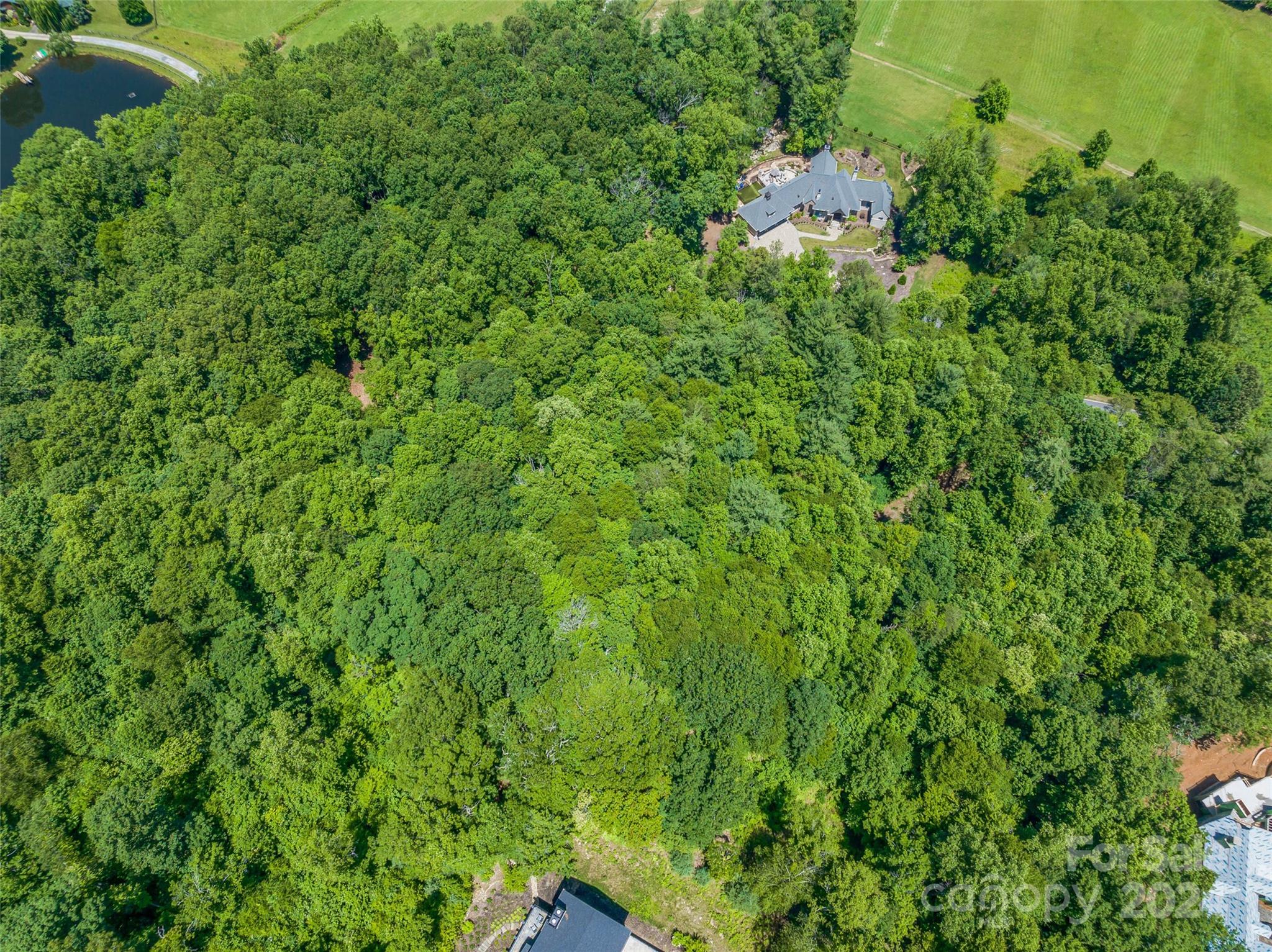 The Cliffs at Walnut Cove - Land