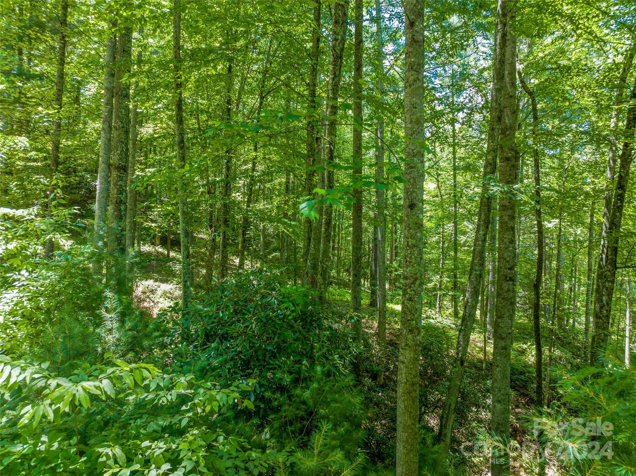 The Cliffs at Walnut Cove - Land