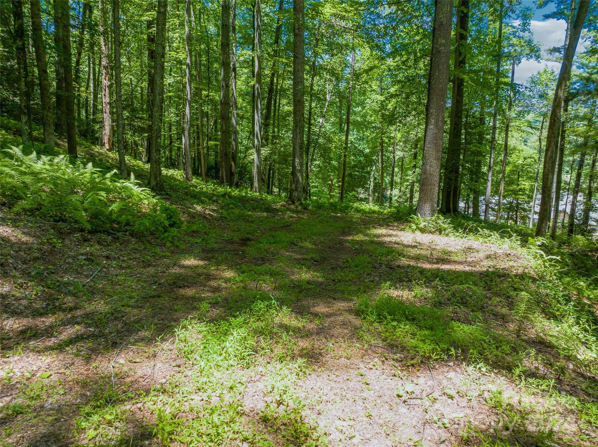 The Cliffs at Walnut Cove - Land