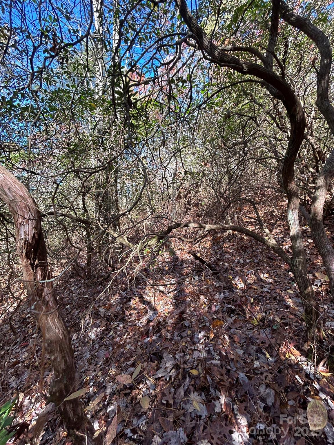 Lot 3 and 4 Oriole Road