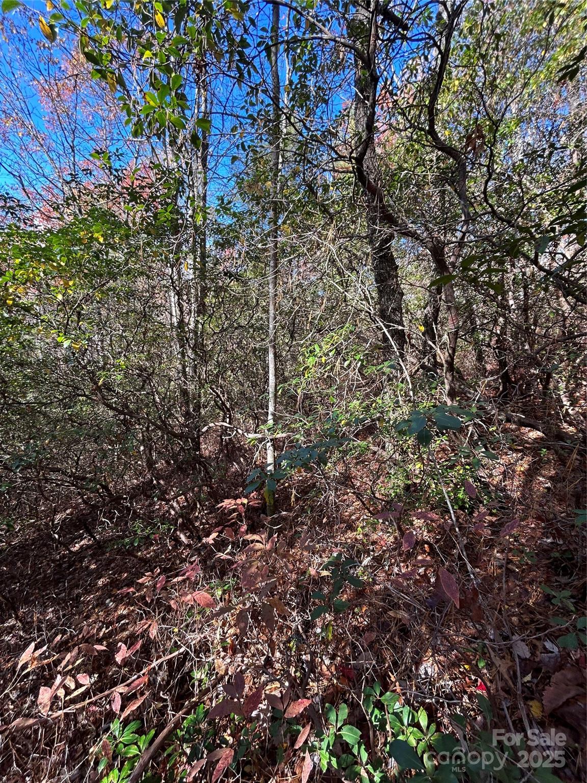 Lot 3 and 4 Oriole Road