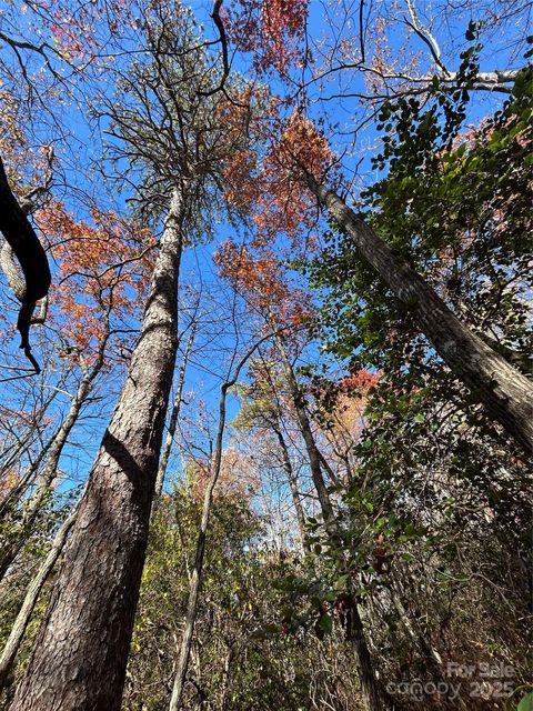 Lot 3 and 4 Oriole Road Brevard NC 28712