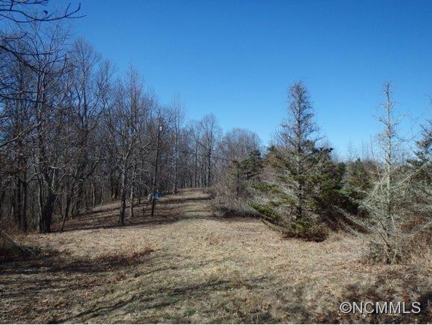 18 plus acres of just downright pretty. Well, septic and power already here for you to do what you want to. Just 12 miles from I-26 to paradise.