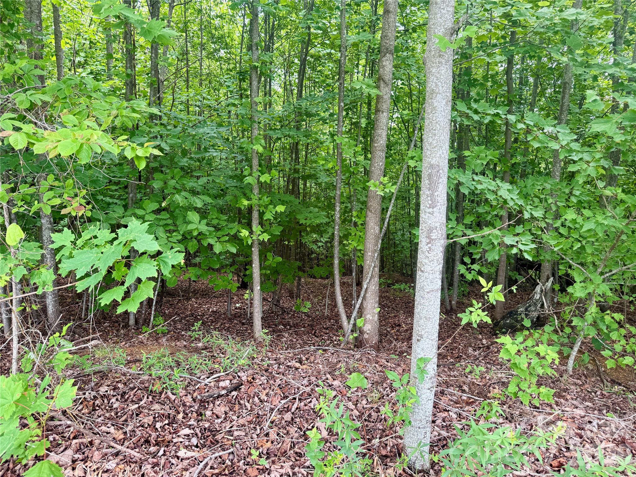 V/L Scenic Vista Drive 248