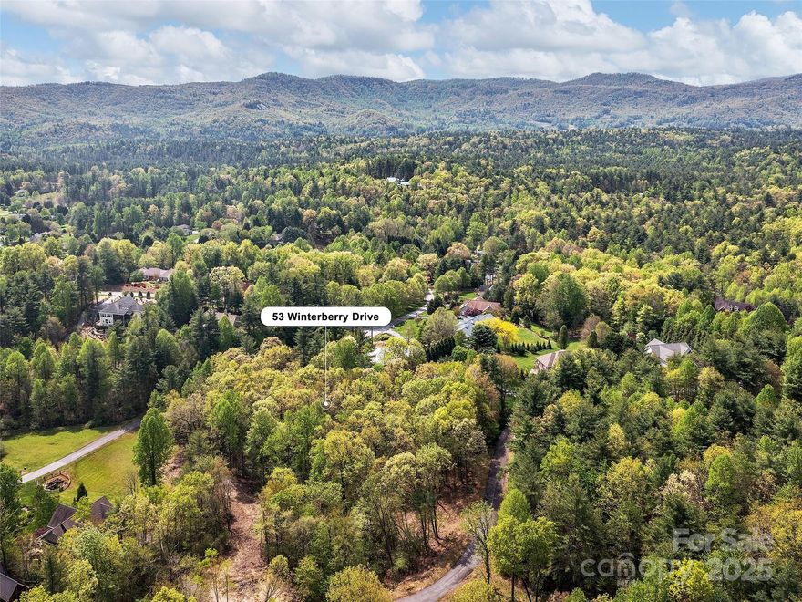 Fantastic neighborhood! Wilson Farm features beautiful homes and spacious lots. This southeast facing site offers privacy within the trees. All underground utilities are available except for sewer. Minimum build size is only 2200 sq. feet. The location is convenient and only 10 minutes to downtown Hendersonville and Dupont State Forest. This is the most affordable lot in the neighborhood. Just a few lots left!