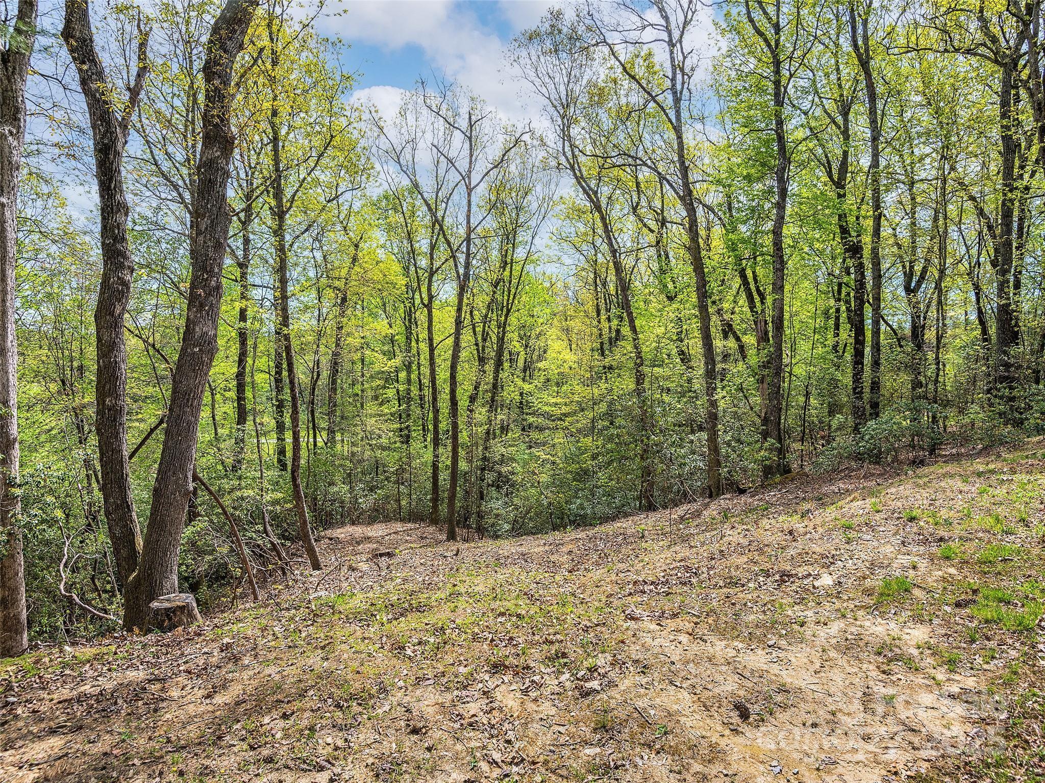 Lot #53 Winterberry Drive