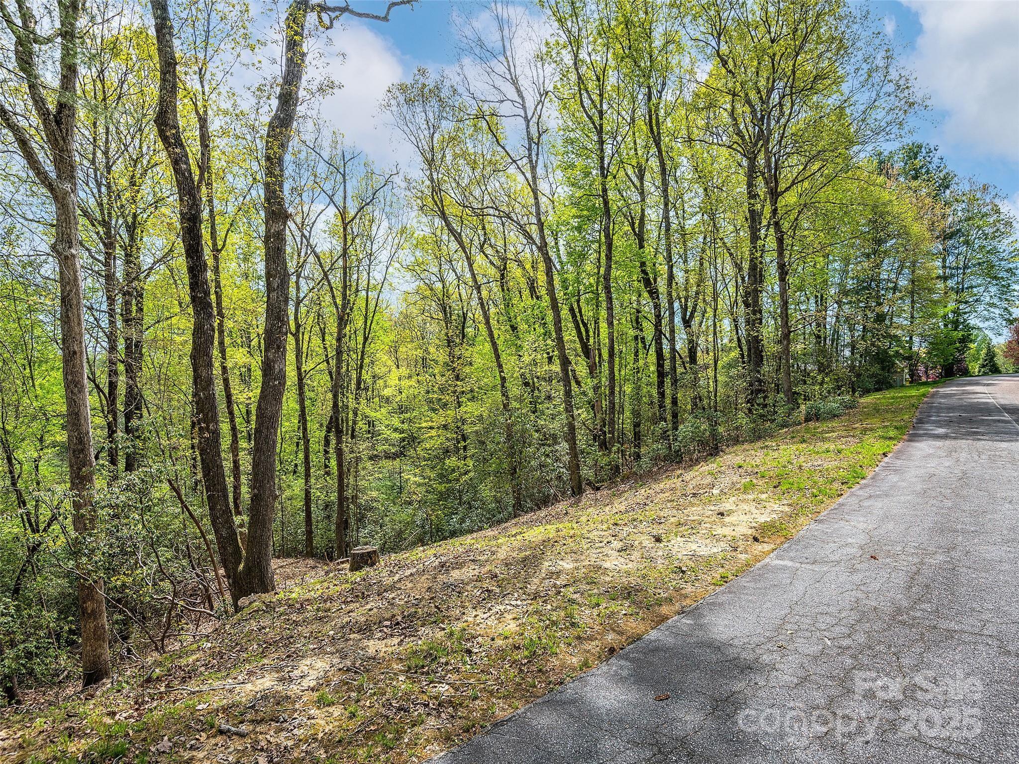 Lot #53 Winterberry Drive