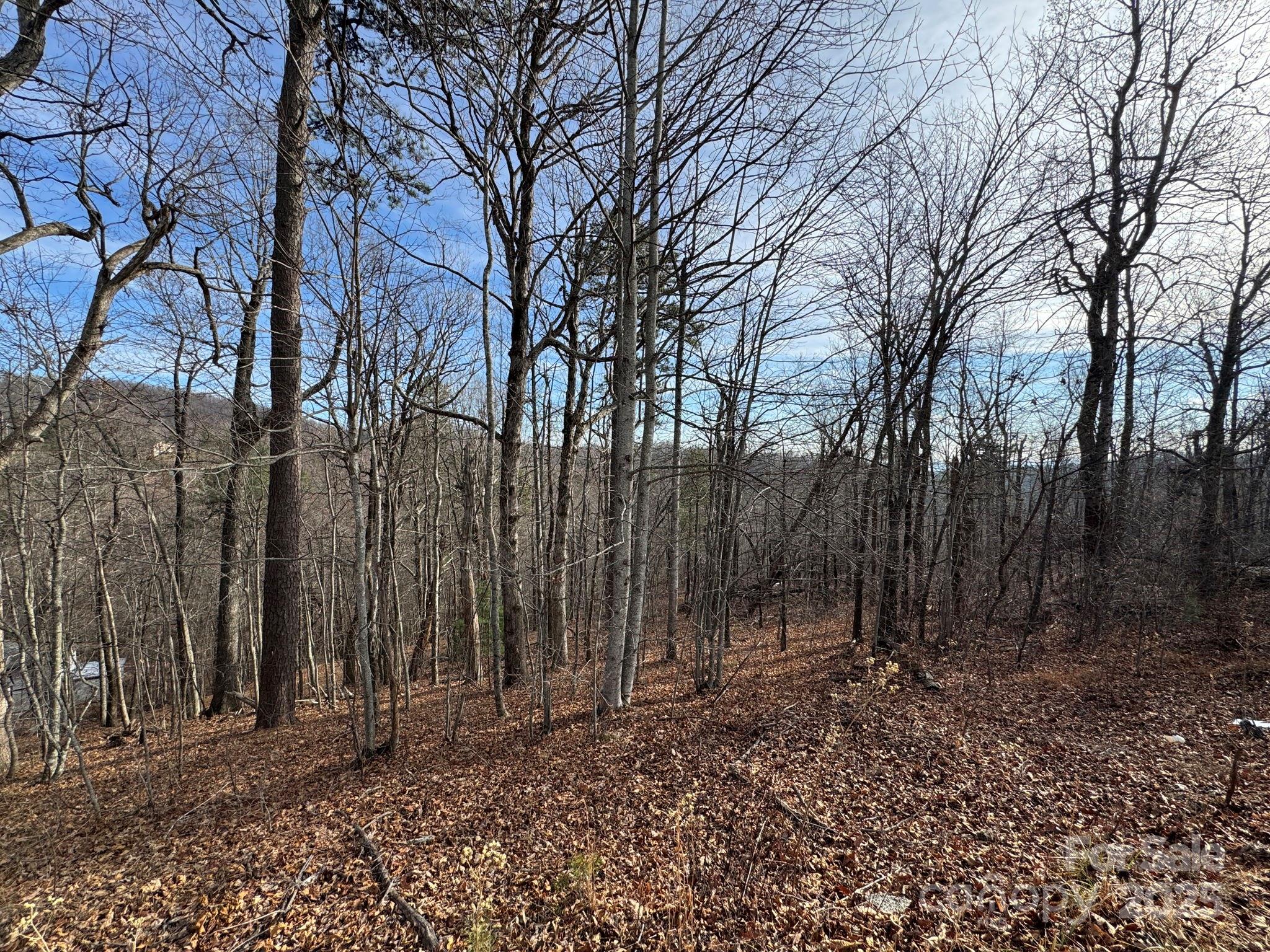 6955 Silver Creek Lane