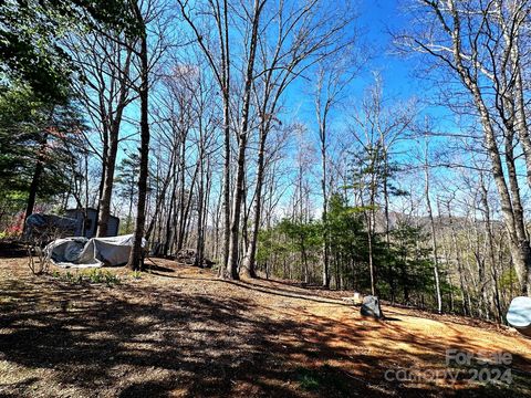 A home in Lake Lure