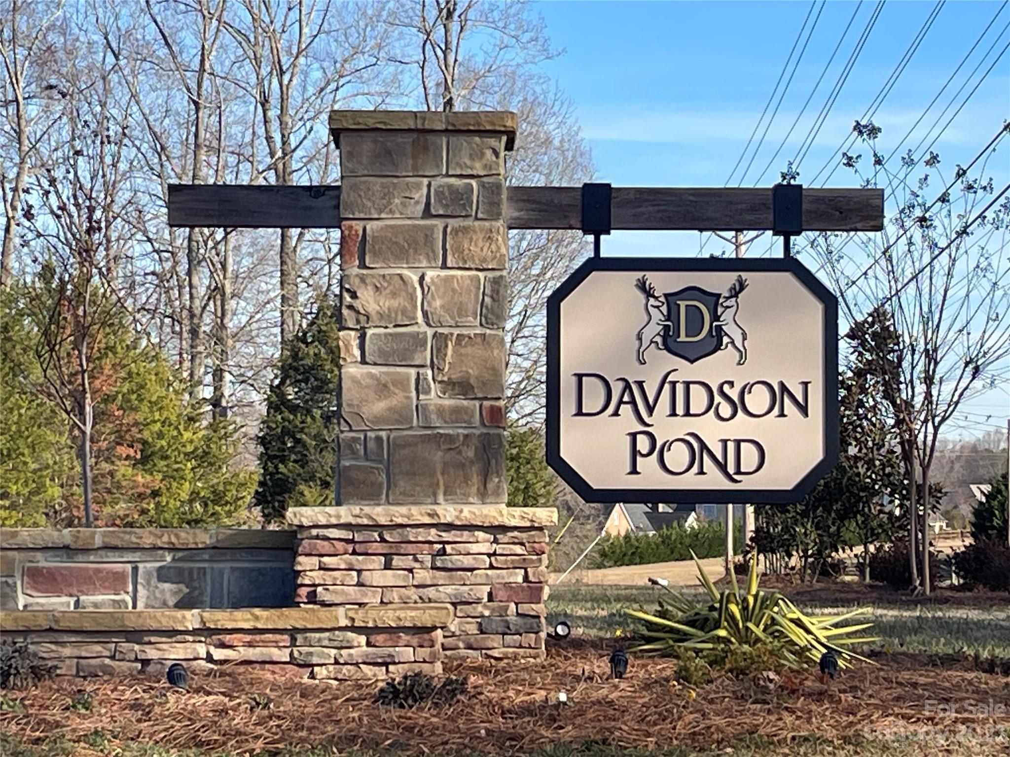 Davidson Pond - Land