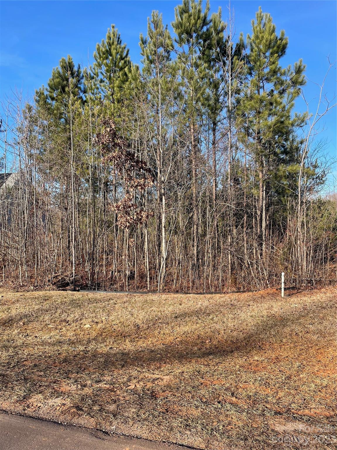 Davidson Pond - Land