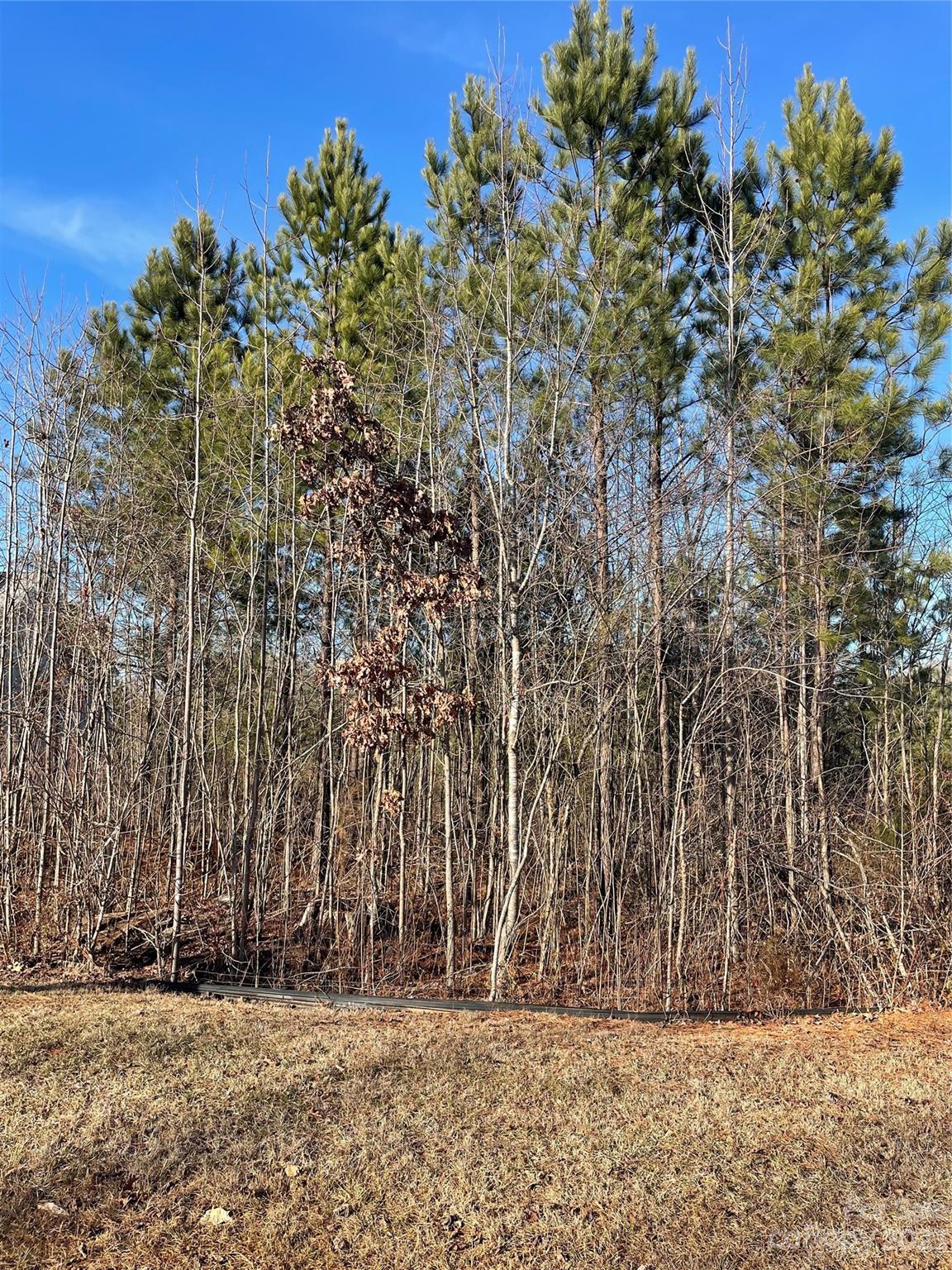 Davidson Pond - Land