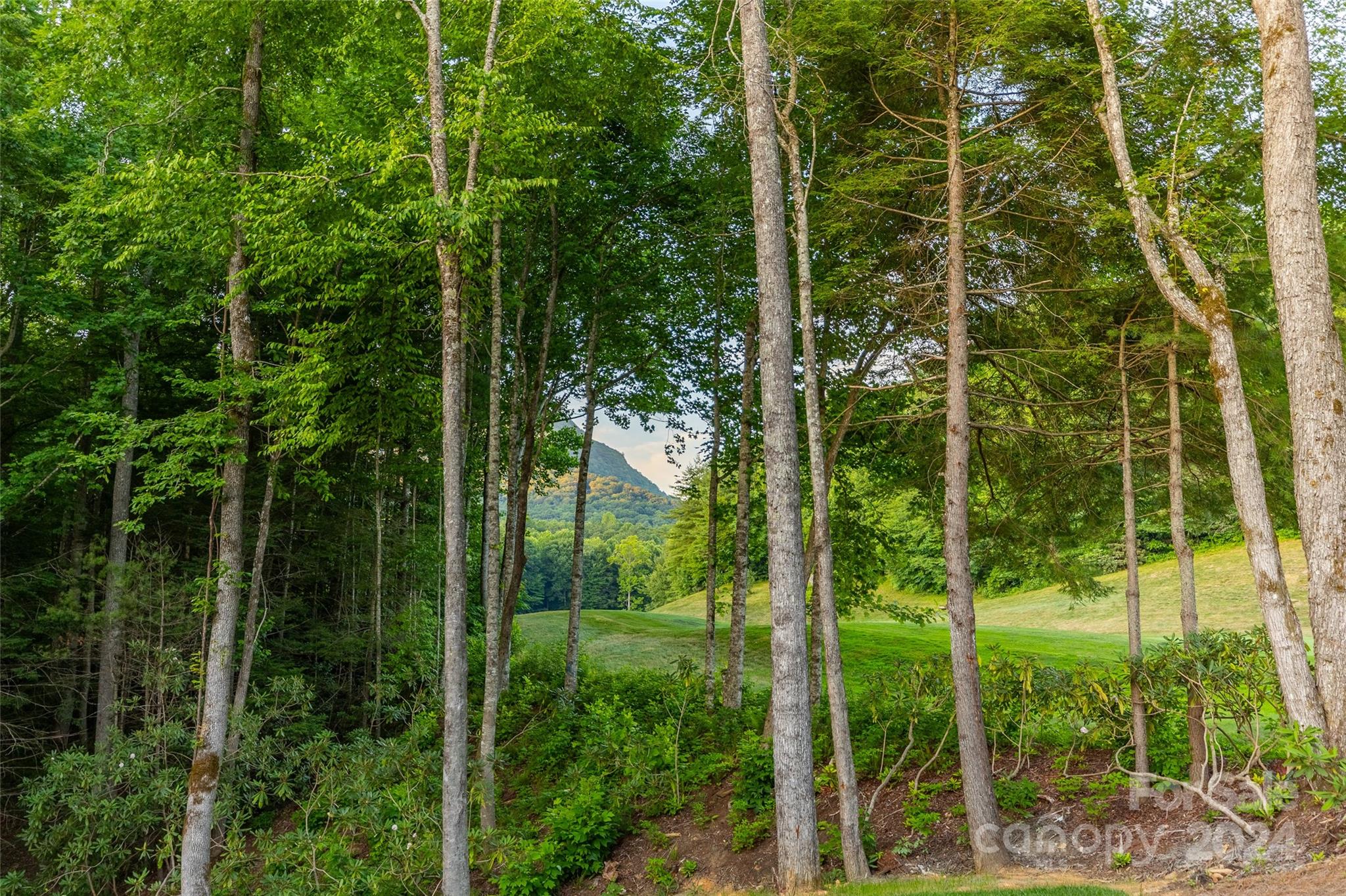 Burlingame - Residential