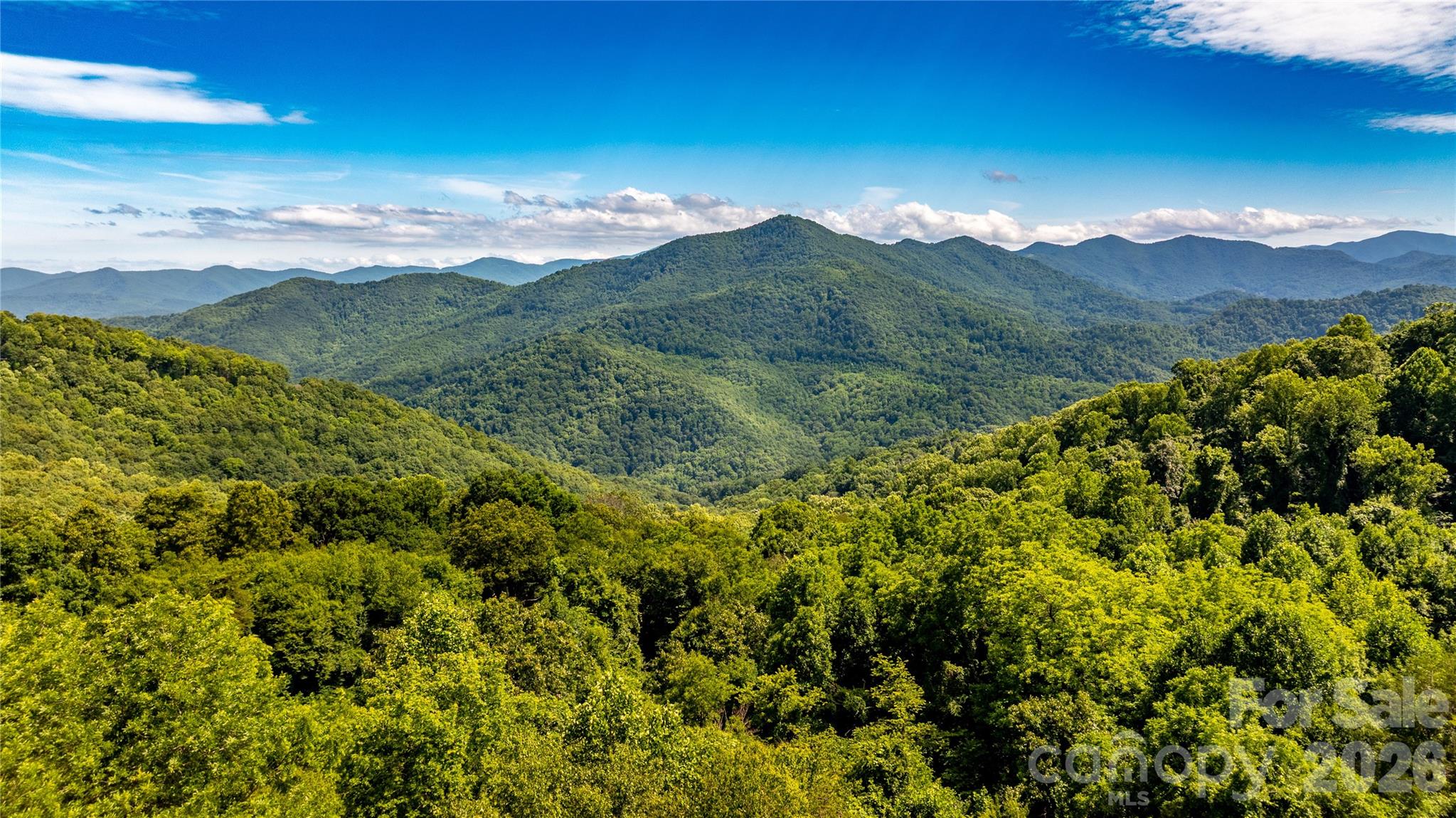 0000 High Rock View Drive 40