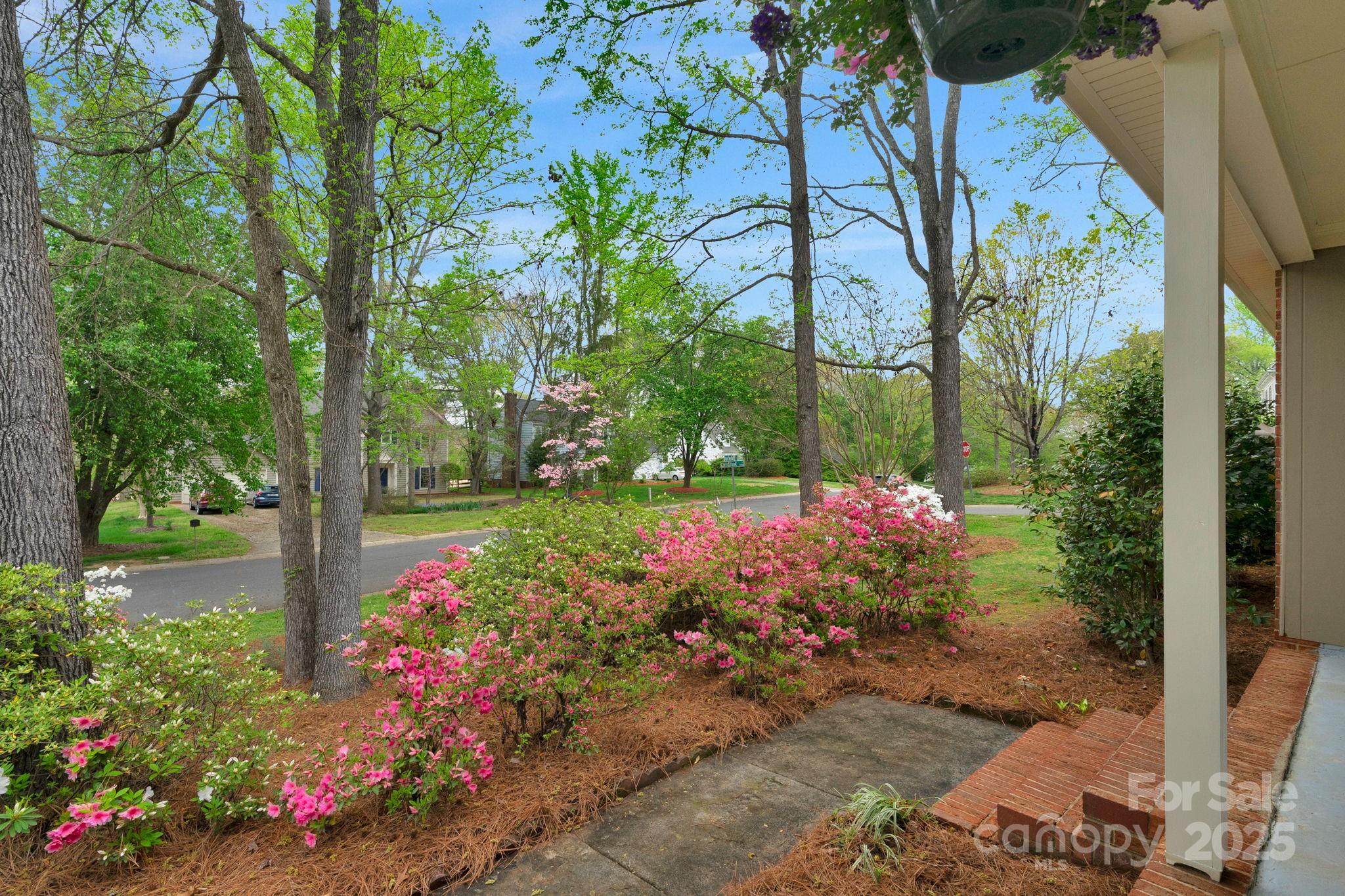 Raeburn - Residential