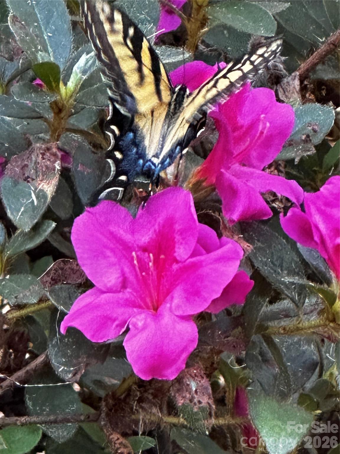 Summerhouse at Paddlers Cove - Residential