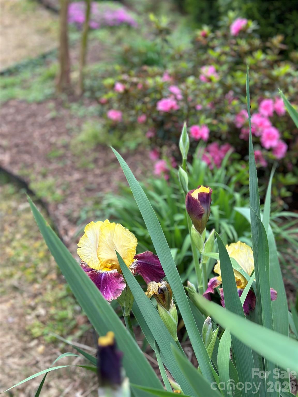 Summerhouse at Paddlers Cove - Residential