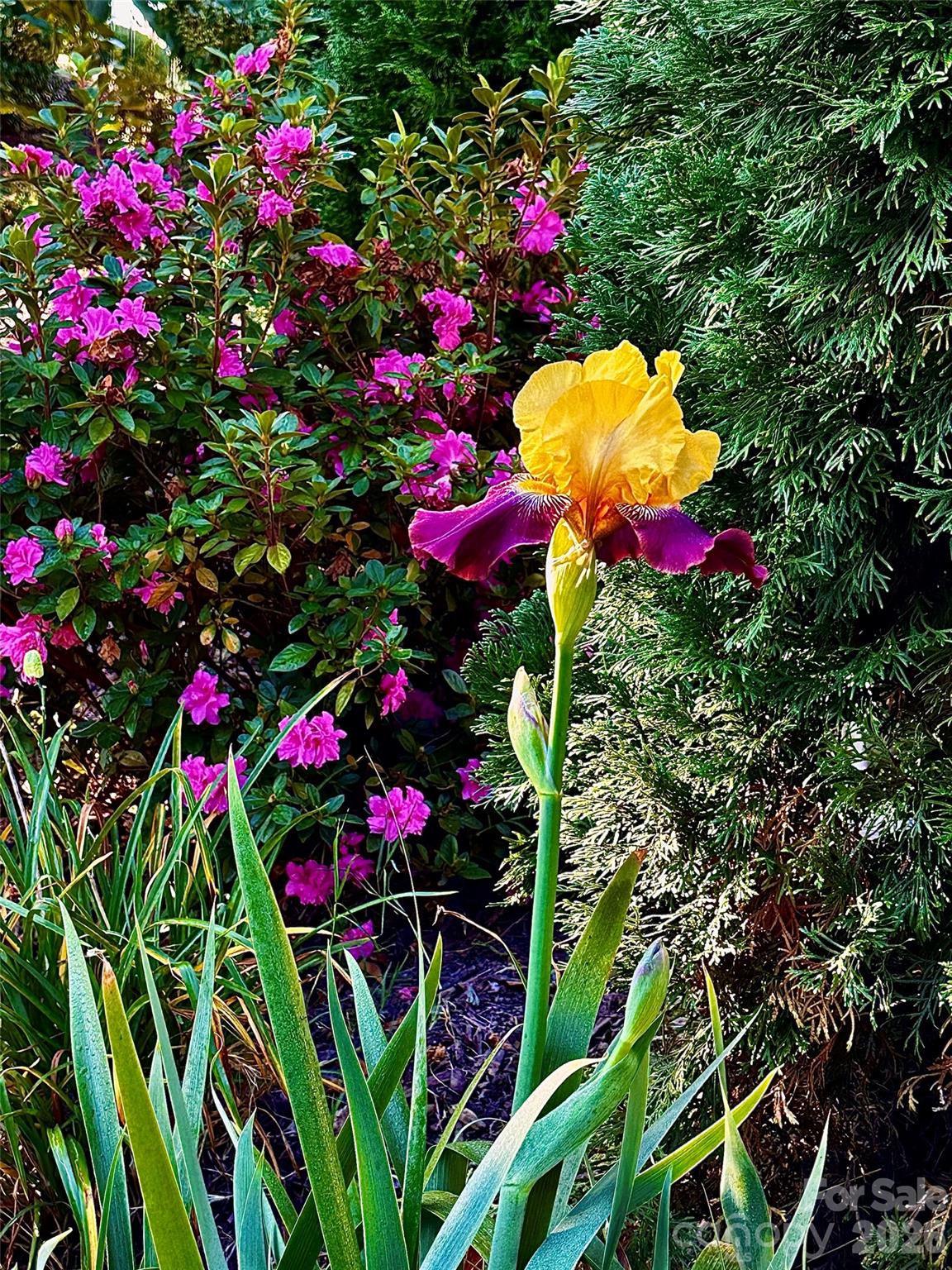 Summerhouse at Paddlers Cove - Residential