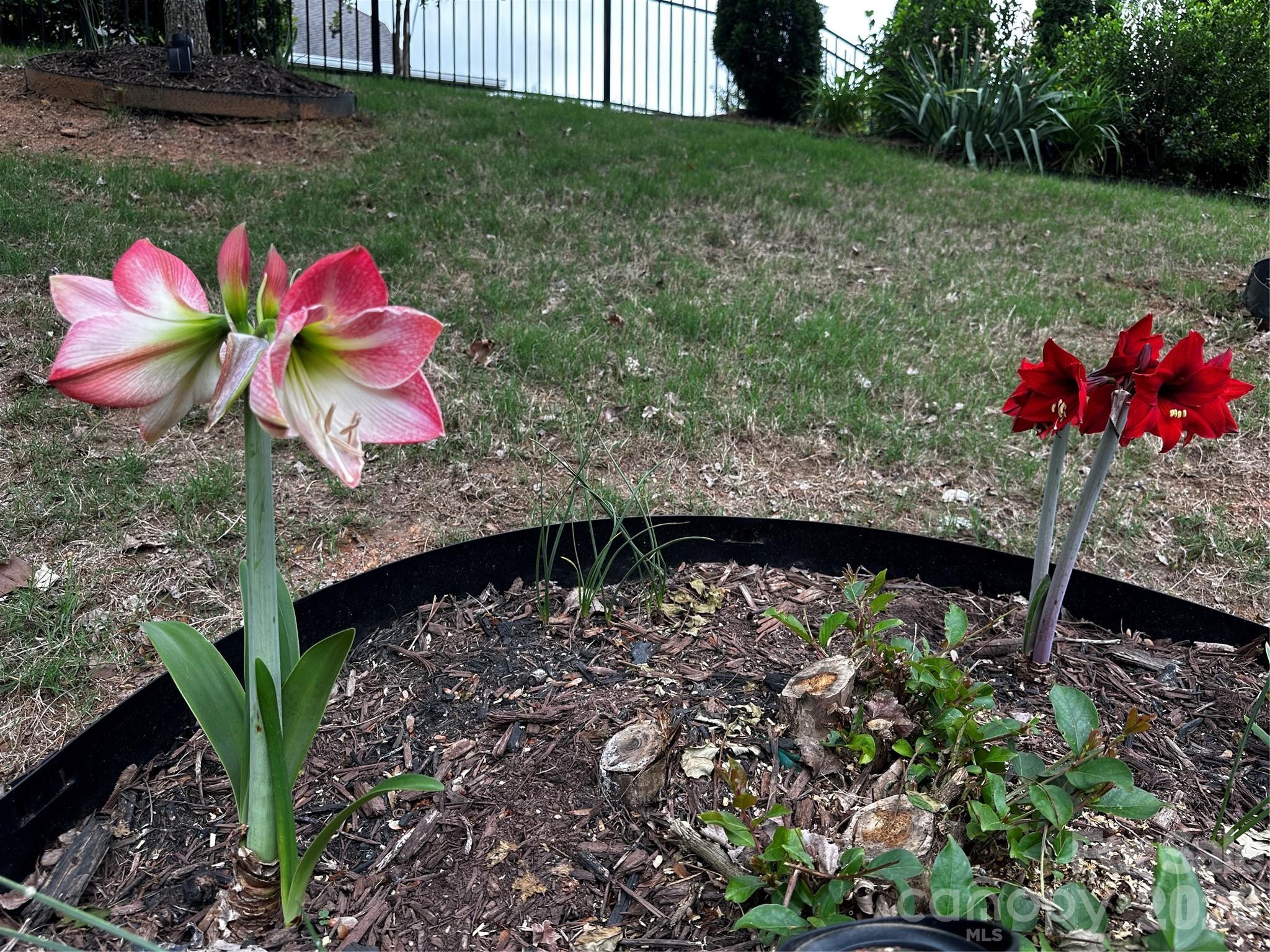 Summerhouse at Paddlers Cove - Residential