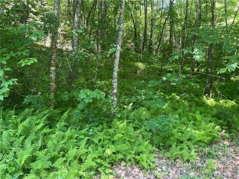Photo for 0000 Trillium Lane 16