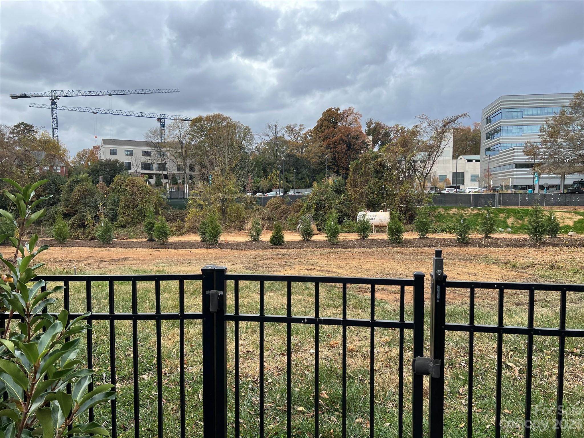 Myers Park - Residential