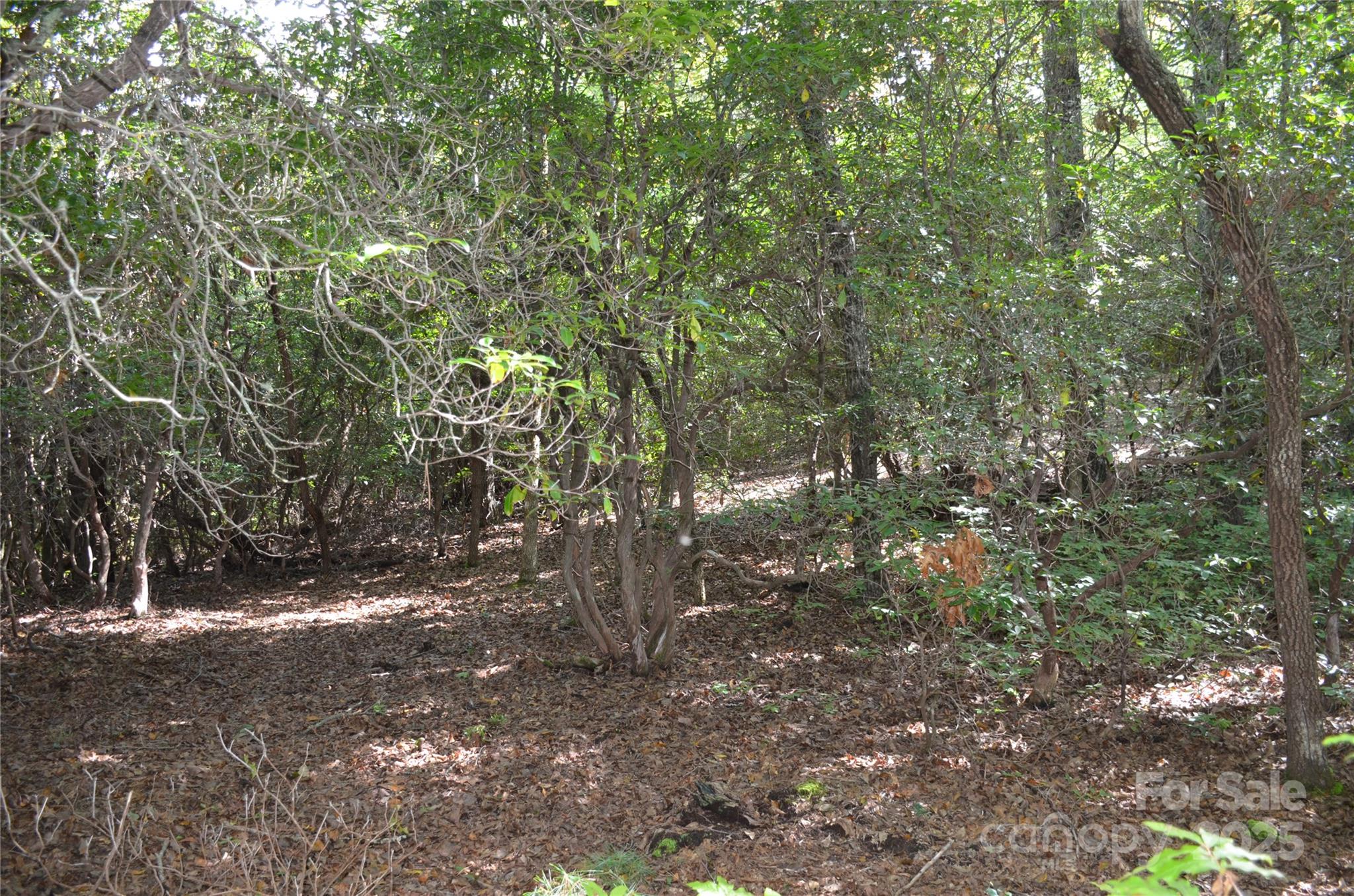 Sequoyah Woods - Land