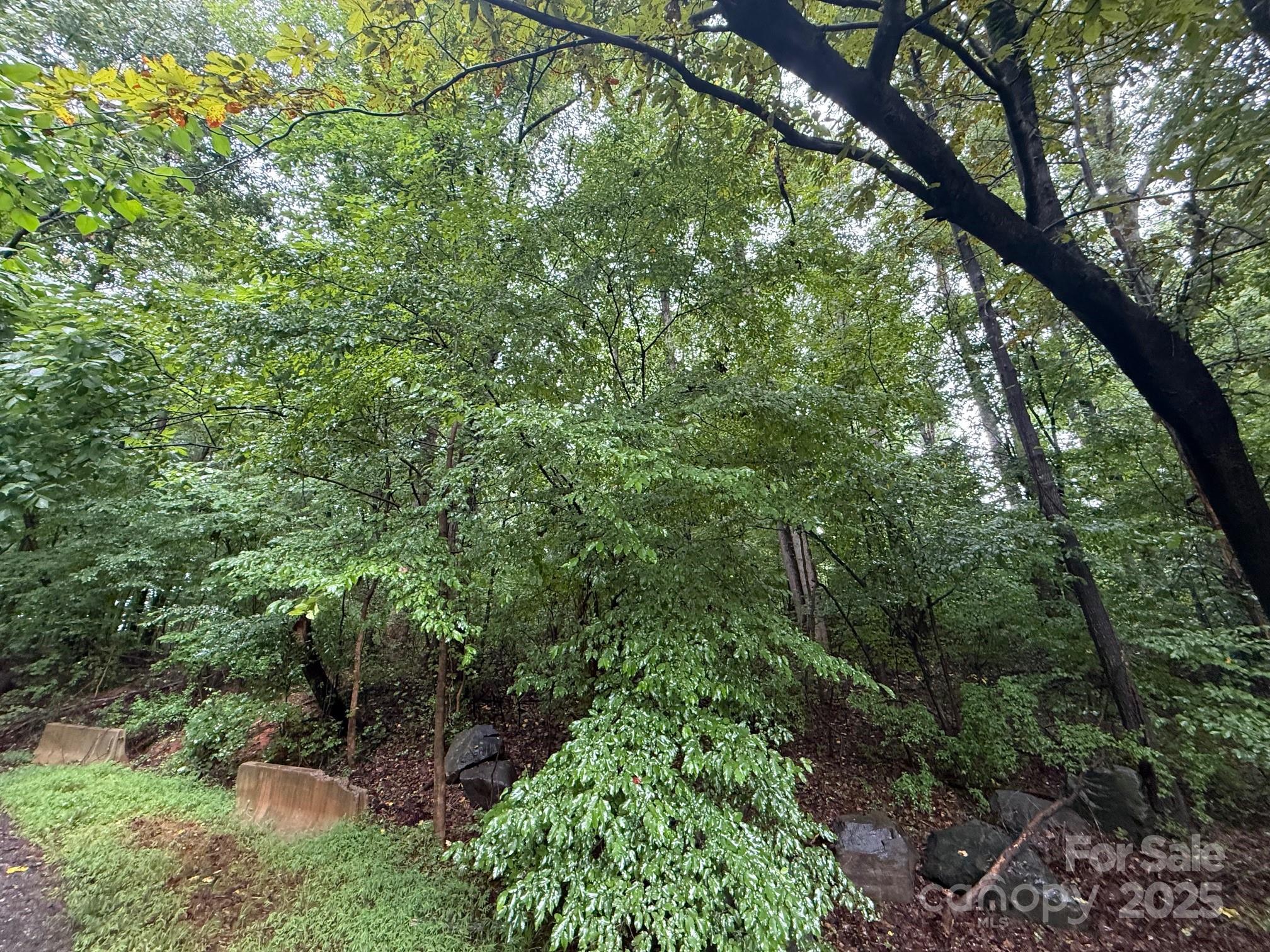 3117 Shirley Drive