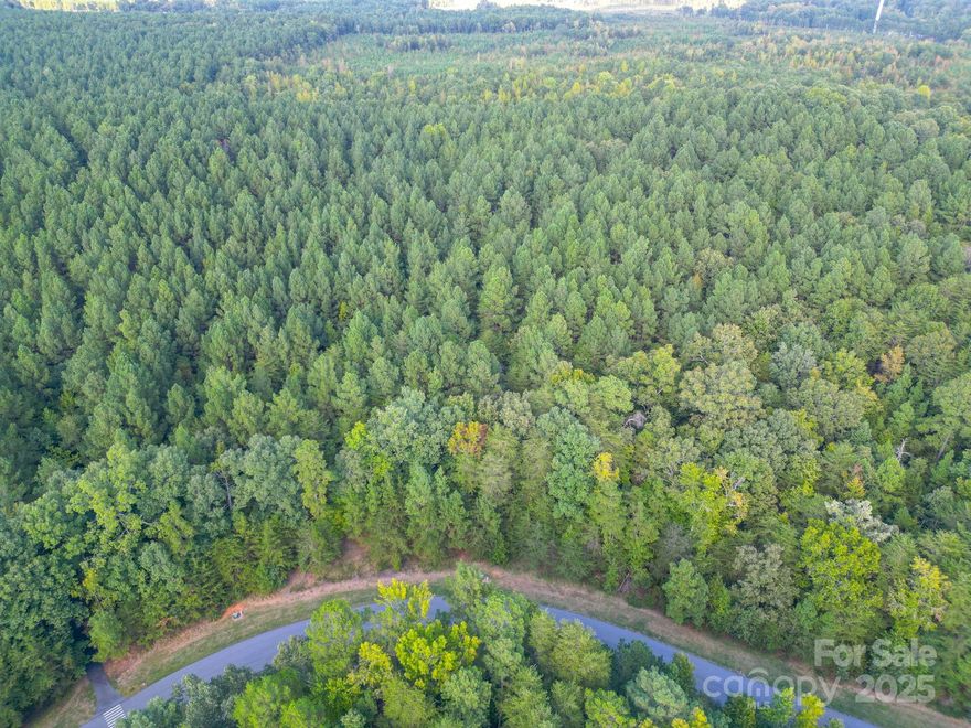 Build your dream or vacation home on this large, treed lot in Heron Bay. Beautiful water views of Badin Lake, with Uwarrie
National Forrest as a backdrop. Gated community with a club house, stunning lantern lit streets, walking trails, private and
community boat slips, and boat storage available.