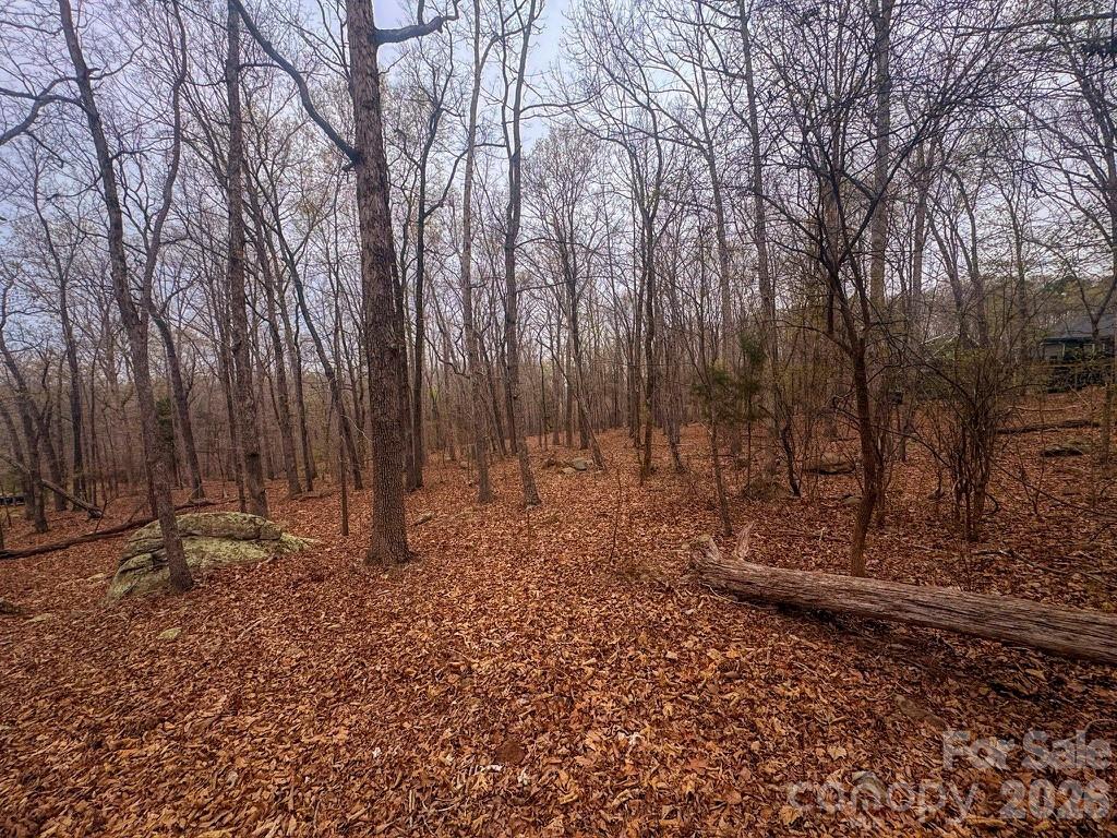 The Springs At High Rock - Land