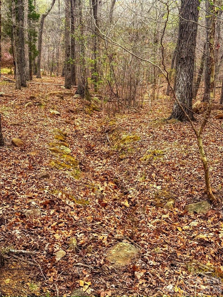 The Springs At High Rock - Land