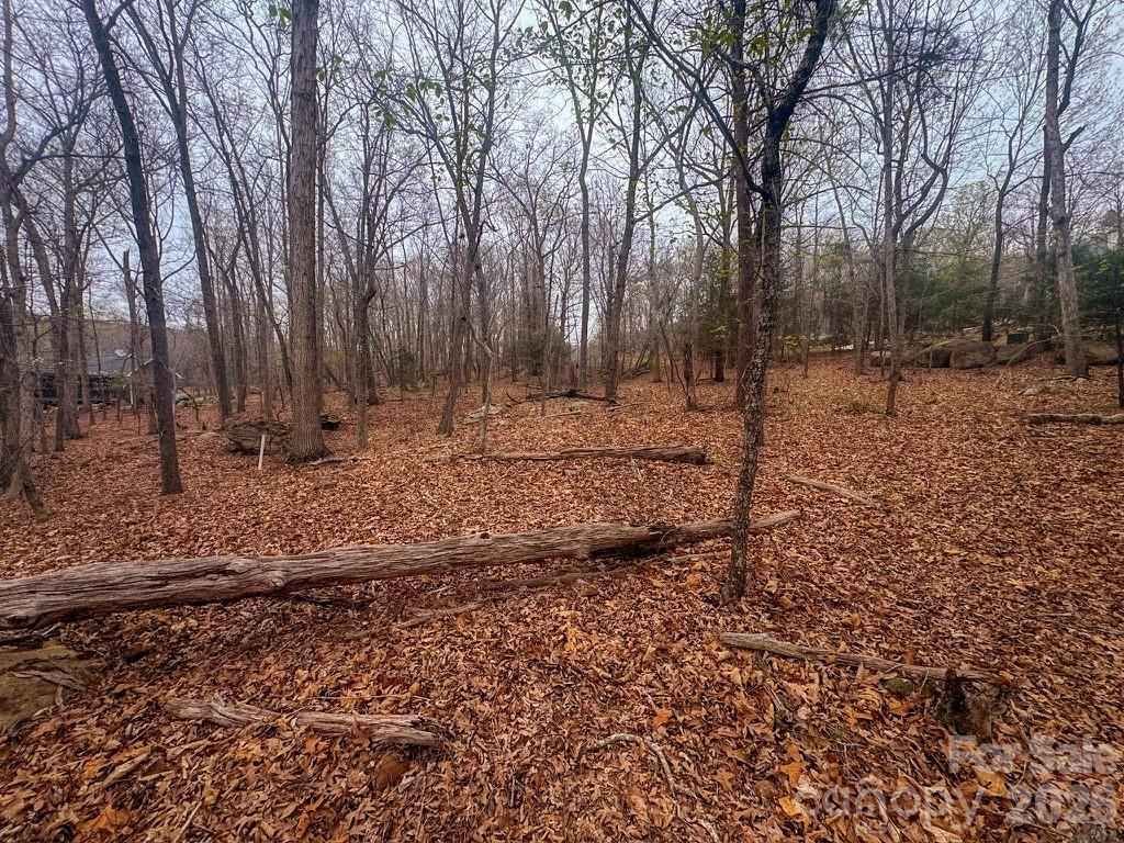 The Springs At High Rock - Land