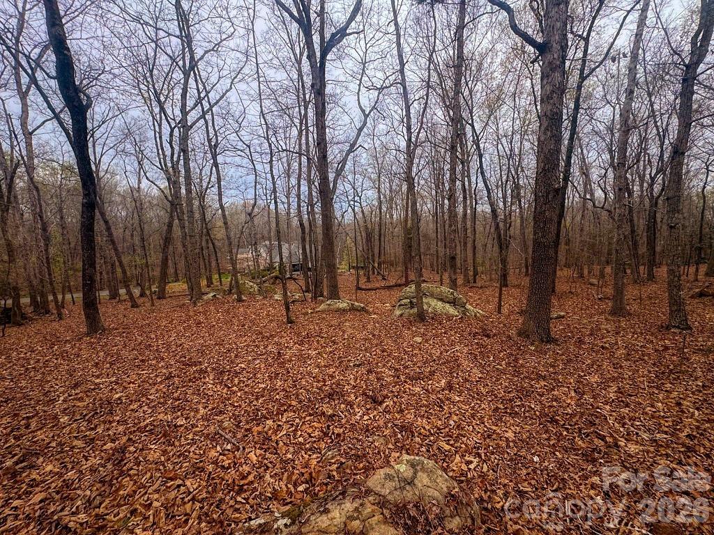 The Springs At High Rock - Land