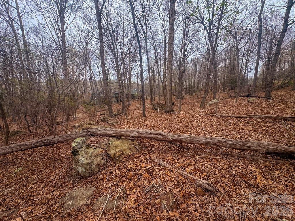 The Springs At High Rock - Land