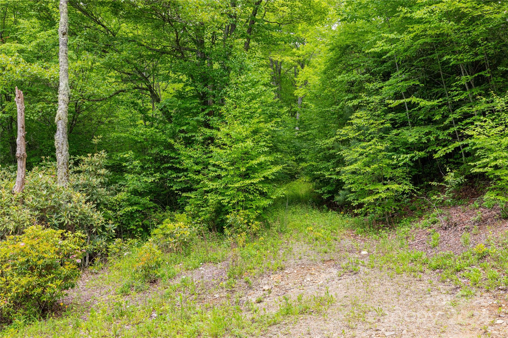 000 Lost Ridge Road 2