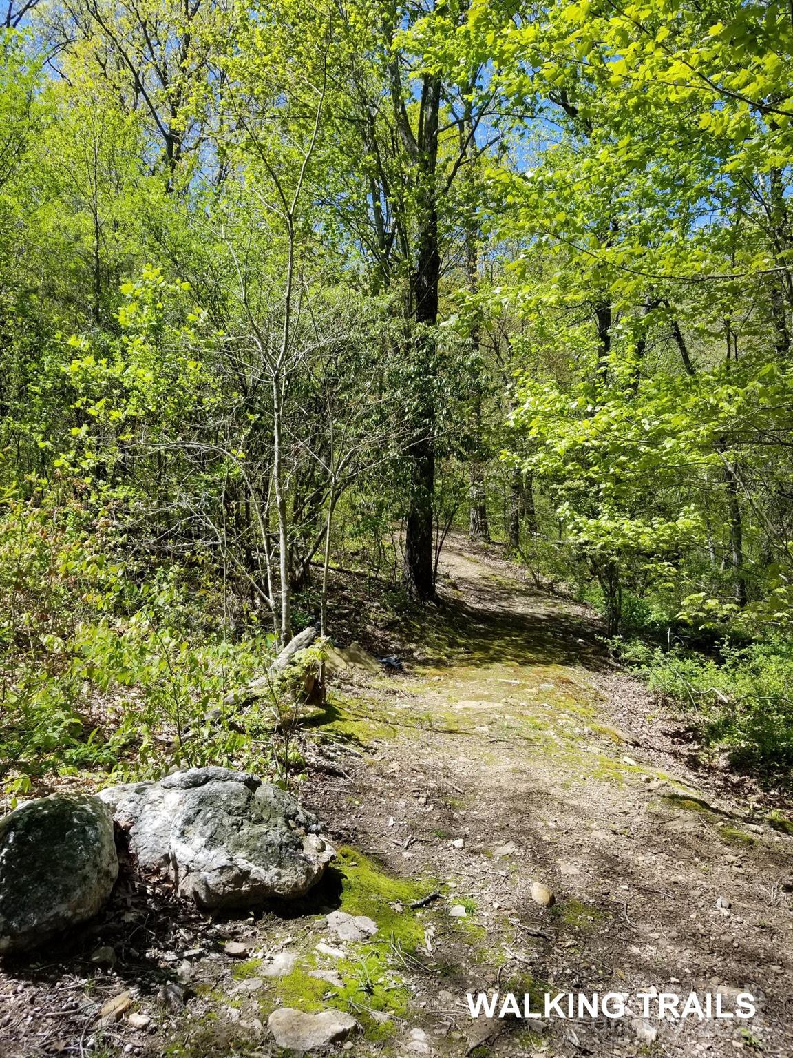 Pinnacle at Arabella Heights - Residential