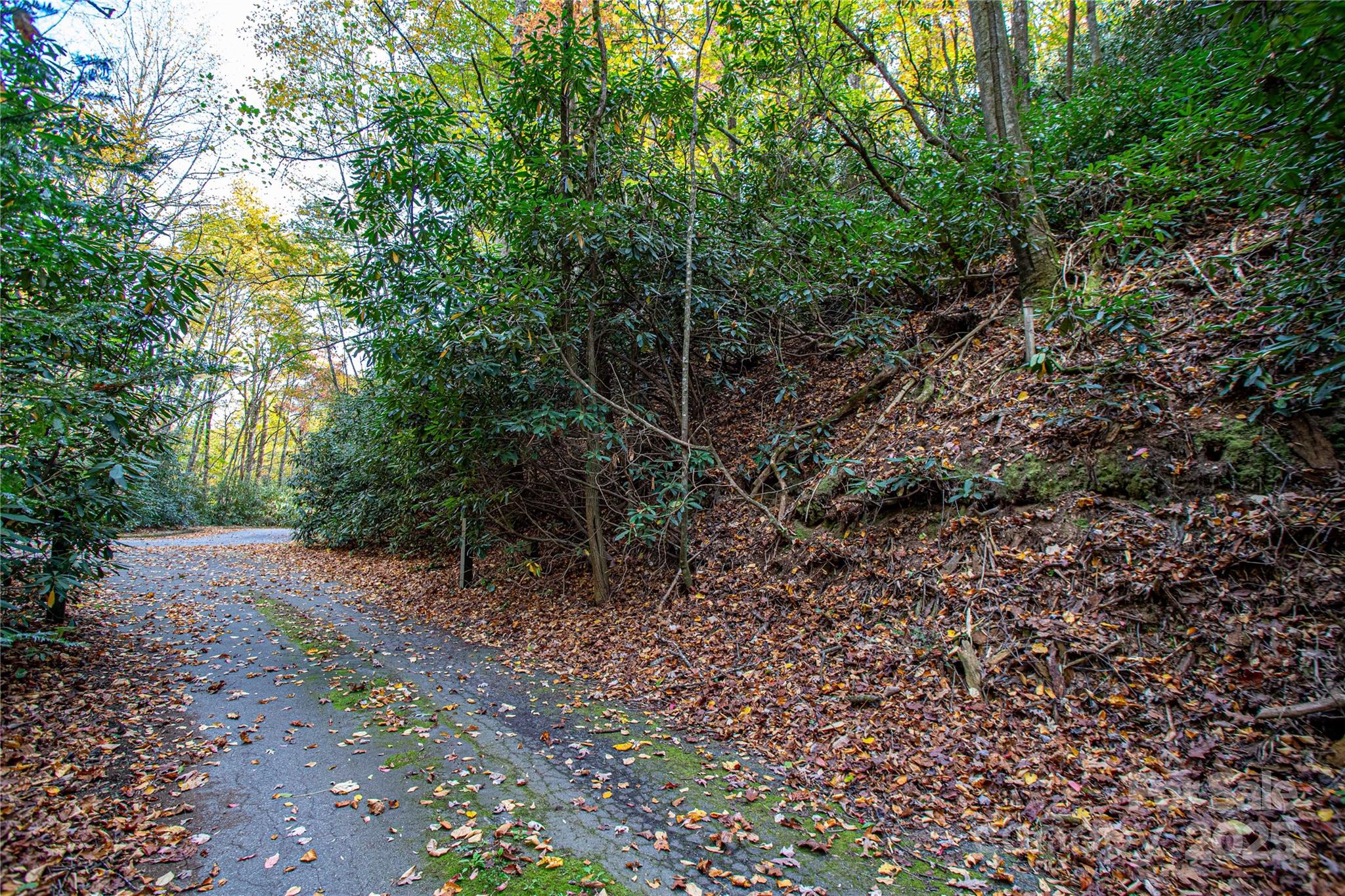 Deerlake Village - Land